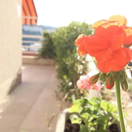 With A Nice Terrace And A View *